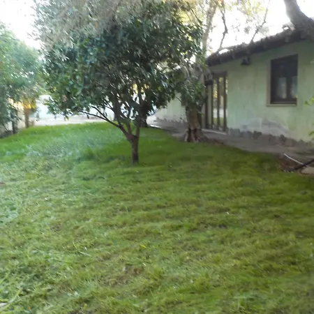 'suite' Gli Ulivi Dei Nonni Iun P3279 Ollastra